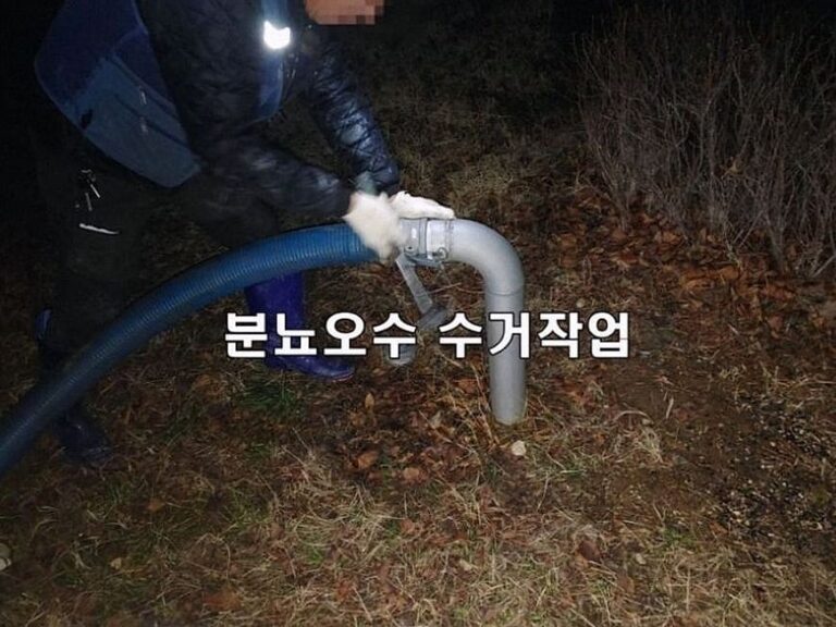 평택시 정화조모터펌프 교체 정화조 역류 분뇨오수 석션 작업
