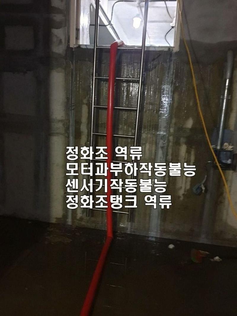 역류로 물이 찬 정화조 탱크