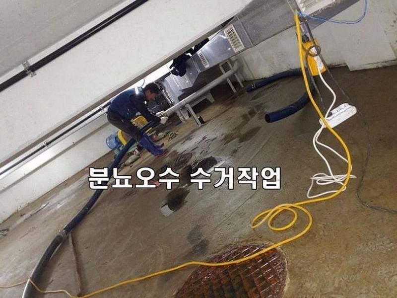바닥의 분뇨 오수를 수거하는 모습