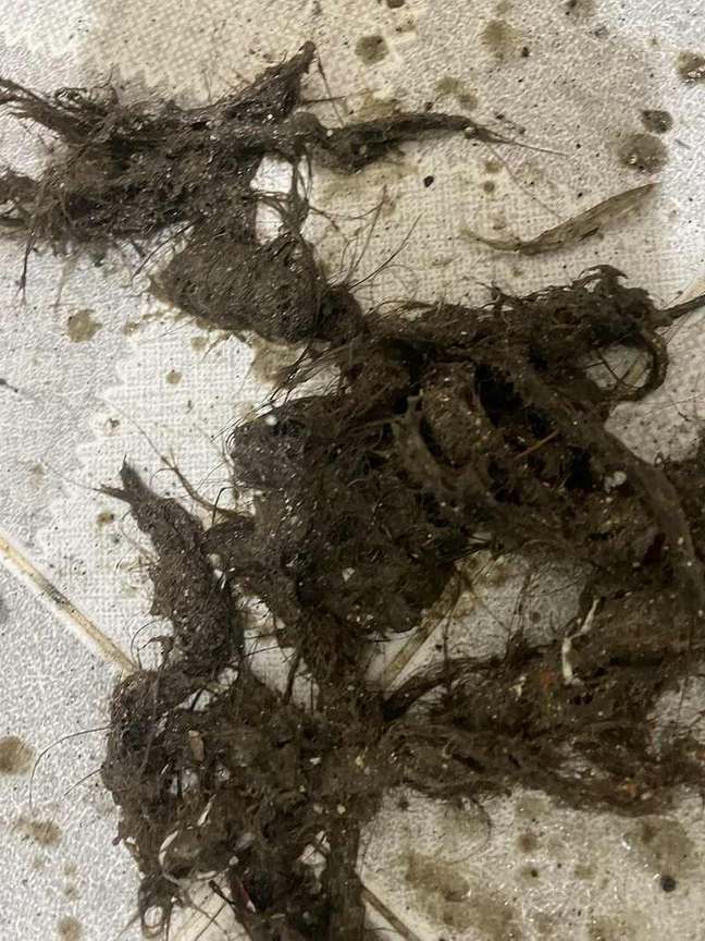 배관에서 끌어낸 머리카락 뭉치